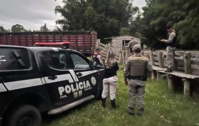 Polícia Civil recupera 29 animais bovinos em Rio Grande