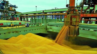 Importações de grãos do Japão é de 24,2 mi tons