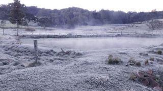 RS amanhece mais um dia com temperaturas negativas e geada; veja imagens do frio