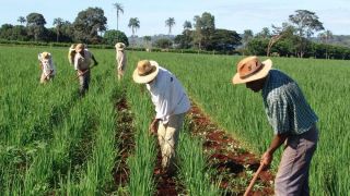 Bolsonaro veta medidas de amparo a agricultores familiares durante a pandemia