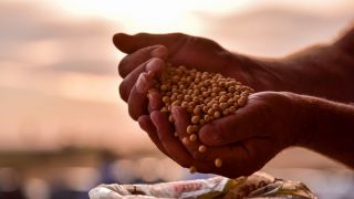 Brasil terá safra recorde de 278,7 mi toneladas em 2020/21 puxada por soja e milho, diz Conab
