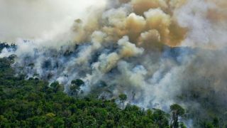 Governo recua e não irá realizar corte de R$ 60 milhões no Meio Ambiente