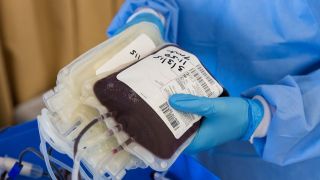 Com baixo estoque, Hemocentro do RS faz cadastros online para buscar doadores de sangue