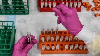 País tem quatro testes de vacina e 32 de tratamento em andamento contra a Covid-19