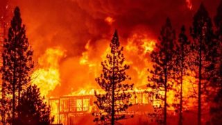 Incêndios no Oeste dos EUA devastam mais de 800 mil hectares