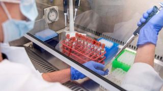 Vacina ainda é possível este ano apesar da interrupção dos testes, afirma AstraZeneca