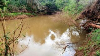 Corpo de pescador que estava desaparecido é encontrado em Ubiretama