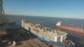 Porto de Rio Grande realiza embarque de 26 mil bovinos para Turquia e Líbano