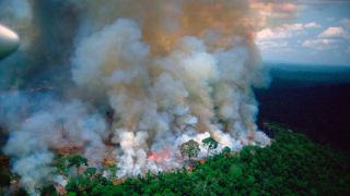Ministro do Meio Ambiente pede a liberação de R$ 134 milhões para combater queimadas na Amazônia e no Pantanal