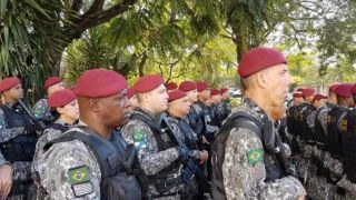 Força Nacional vai apoiar combate a incêndios no Pantanal