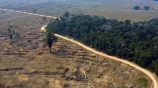Amazônia perde 32 milhões de campos de futebol de vegetação em 18 anos, revela IBGE