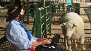 Adaptada pela Covid-19, Expointer Digital se encerra com bons números de acessos
