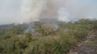 Governo autoriza envio da Força Nacional para ajudar no combate a incêndios no Pantanal