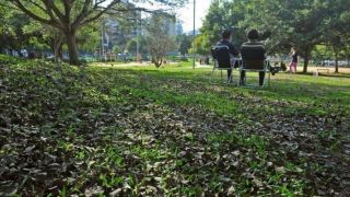 Chuva dá trégua e sol predomina no RS nesta terça-feira