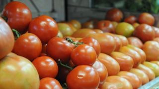 Cesta básica de Porto Alegre registra alta de 4,59% em setembro