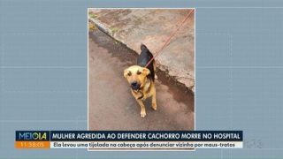 Voluntária de ONG morre em hospital após ser agredida por vizinho denunciado por maus-tratos contra animais