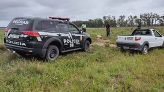 Decrab Camaquã investiga abigeato ocorrido em Arambaré