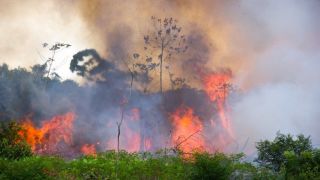Inteligência artificial pode ajudar no combate a queimadas e incêndios