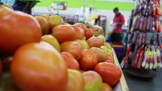 Por que o preço do tomate está elevado nos mercados?