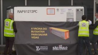 Primeiro lote da vacina Coronavac chega ao Brasil