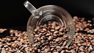 RJ: pesquisa atualiza dados das safras de café e cana-de-açúcar
