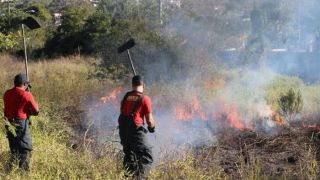 Defesa Civil ressalta a importância da prevenção de queimadas em período de estiagem