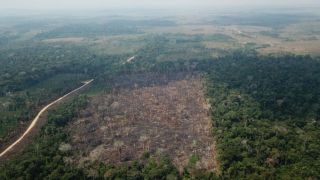 Desmatamento no Brasil em 2020 supera meta proposta na Convenção do Clima