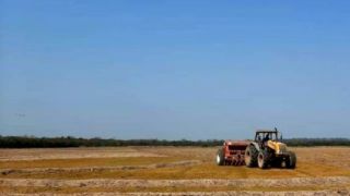Rio Grande do Sul registra mais 13 cidades que têm situação de emergência homologada devido à estiagem