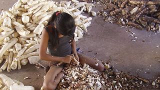 Brasil tem 4,6% das crianças e adolescentes em trabalho infantil, aponta o IBGE