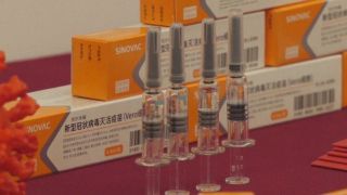 São Paulo recebe mais 500 mil doses da vacina CoronaVac