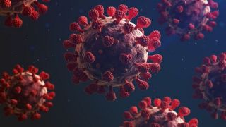Em 24 horas, o registro de novas infecções por coronavírus no País chegou a quase 70 mil