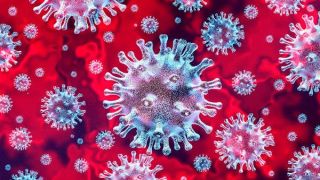 Anticorpos de pessoas que tiveram o coronavírus ficaram mais potentes seis meses após a infecção, revela estudo
