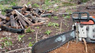 Proposta de orçamento para o Ministério do Meio Ambiente é a menor em 21 anos, aponta relatório