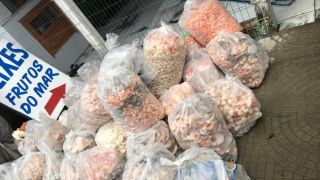 Força tarefa fiscaliza supermercado, açougues e peixarias no Litoral Norte do Rio Grande do Sul