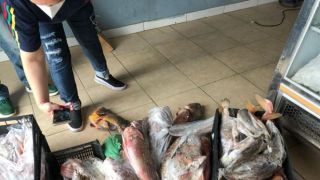 Mais de uma tonelada de alimentos impróprios para o consumo é apreendida em Tramandaí