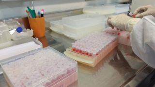 Rio Grande do Sul registra 992 novos casos da Covid-19 e mais oito óbitos
