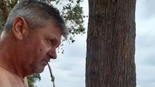 Homem morre após ser atingido por Tora de Eucalipto em Dom Feliciano