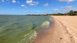 Algas deixam a Lagoa dos Patos verde em Tapes