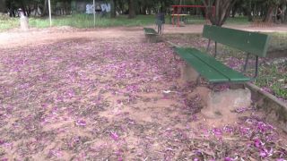 Outono deve ser de altas temperaturas e poucas chuvas no Rio Grande do Sul