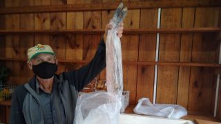 Tradicional Feira do Peixe acontece em Dom Feliciano