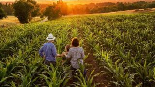 Prorrogação para revisão em talões de produtor rural encerra dia 15 de abril