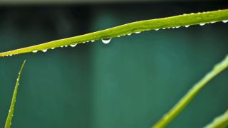 Chuva seguirá abaixo da média em abril no RS