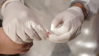 Contaminação por coronavírus atinge 18% da população do RS, aponta pesquisa da UFPel