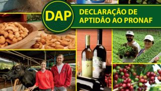 Você sabia? Conheça as regras de enquadramento da DAP