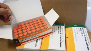 RS deve receber 63,6 mil doses da CoronaVac neste sábado; população com 2ª dose atrasada no estado chega a 432.930