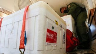 Chegam ao Rio Grande do Sul mais 365 mil doses das vacinas de Oxford e Coronavac. Distribuição começa nesta sexta-feira