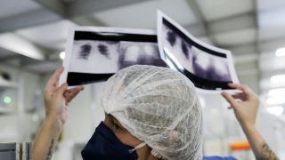 Brasil tem 2.485 mortes por Covid-19 nas últimas 24 horas e total de vítimas ultrapassa 440 mil