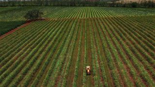 Estados atrelados ao agronegócio, como o Rio Grande do Sul, devem liderar a alta do PIB brasileiro em 2021