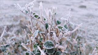 RS registra a menor temperatura do ano com -3,6ºC