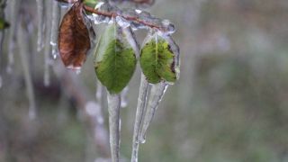 Rio Grande do Sul terá dia gélido e com chances de neve nesta terça-feira